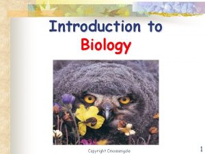 Introduction to Biology Copyright Cmassengale 1 Biology The