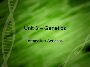 Unit 3 Genetics Mendelian Genetics What is genetics