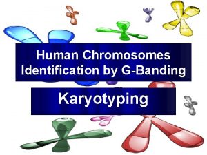 Human Chromosomes Identification by GBanding Karyotyping Mazen Zaharna