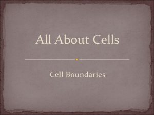 All About Cells Cell Boundaries Cell Membrane All