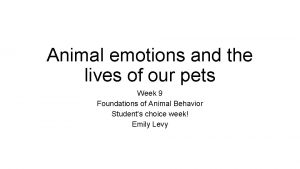 Animal emotions and the lives of our pets