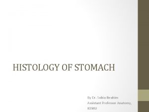 HISTOLOGY OF STOMACH By Dr Sobia Ibrahim Assistant
