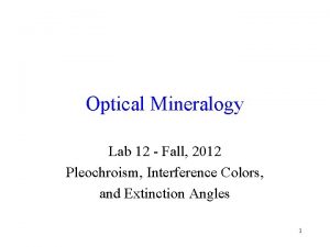 Optical Mineralogy Lab 12 Fall 2012 Pleochroism Interference