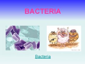 BACTERIA Bacteria BACTERIA Used to all be in