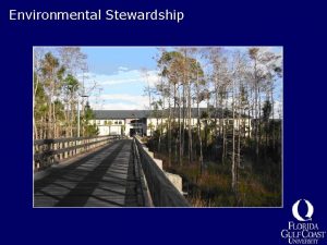 Environmental Stewardship Environmental Stewardship Management Plan Lewis Johnson