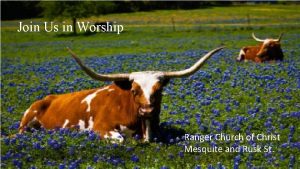 Join Us in Worship Ranger Church of Christ