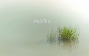 Neblina Quantas vezes acordados e temos dificuldade para