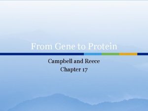 From Gene to Protein Campbell and Reece Chapter