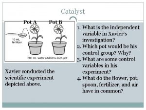 Catalyst Pot A Pot B Xavier conducted the