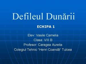 Defileul Dunrii ECHIPA 1 Elev Vasile Camelia Clasa