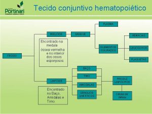 Tecido conjuntivo hematopoitico PLASMA MIELIDE TECIDO SANGUE Encontrado