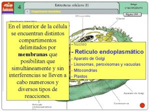 4 Estructuras celulares I 1 Compartimentos intracelulares Biologa