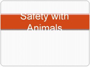 Safety with Animals Livestock Safety Farm animals are