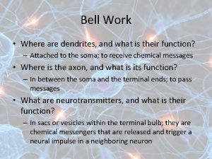 Bell Work Where are dendrites and what is