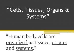 Cells Tissues Organs Systems Human body cells are