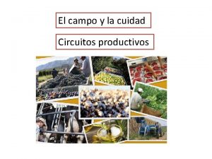 El campo y la cuidad Circuitos productivos Circuitos