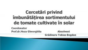 Cercetri privind mbuntirea sortimentului de tomate cultivate n