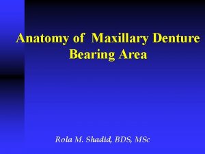 Anatomy of Maxillary Denture Bearing Area Rola M