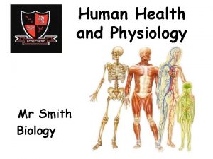 Human Health and Physiology Mr Smith Biology Human