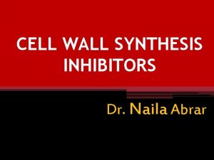 CELL WALL SYNTHESIS INHIBITORS Dr Naila Abrar Other