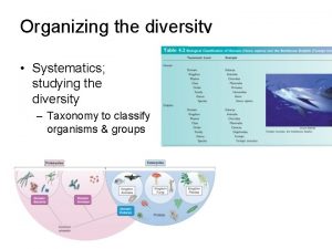 Organizing the diversity Systematics studying the diversity Taxonomy