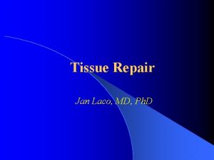 Tissue Repair Jan Laco MD Ph D Tissue