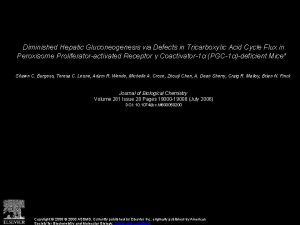 Diminished Hepatic Gluconeogenesis via Defects in Tricarboxylic Acid