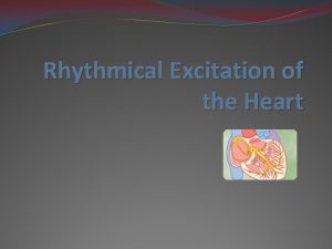 Rhythmical Excitation of the Heart Specialized excitatory and