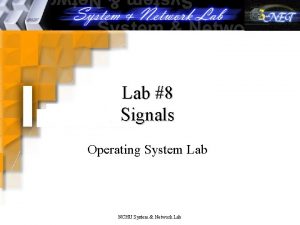 Lab 8 Signals Operating System Lab NCHU System