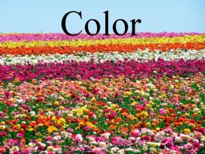 Color Color The visual response of the eye