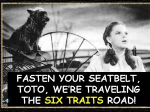 FASTEN YOUR SEATBELT TOTO WERE TRAVELING THE SIX