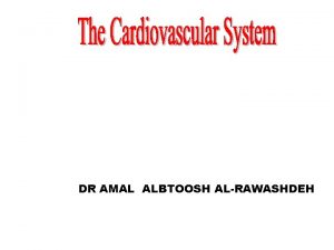 Cardiovascular System DR AMAL ALBTOOSH ALRAWASHDEH The Heart