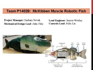 Team P 14029 Mc Kibben Muscle Robotic Fish