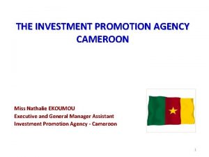 THE INVESTMENT PROMOTION AGENCY CAMEROON Miss Nathalie EKOUMOU