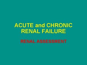 ACUTE and CHRONIC RENAL FAILURE RENAL ASSESSMENT Structure