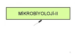 MKROBYOLOJII 1 BORDETELLA NFEKSYONLARI Genel zellikler v Bordetella