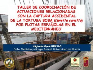 TALLER DE COORDINACIN DE ACTUACIONES RELACIONADAS CON LA