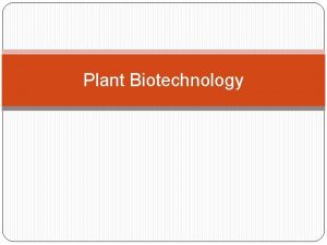 Plant Biotechnology Plant Biotechnology Plant biotechnology describes a
