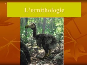 Lornithologie La dfinition de ornithologie l Il sagit