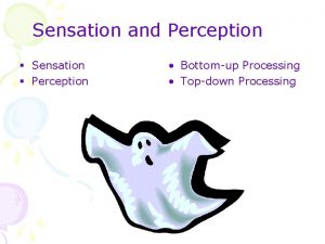 Sensation and Perception Sensation Perception Bottomup Processing Topdown