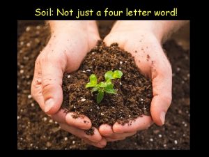 Soil Not just a four letter word What