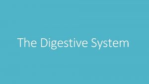 The Digestive System The Digestive System Digestion is