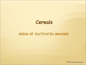Cereals SEEDS OF CULTIVATED GRASSES PDST Home Economics