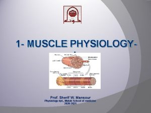 1 MUSCLE PHYSIOLOGYI Prof Sherif W Mansour Physiology