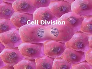 Cell Division Cells Review What is cell division