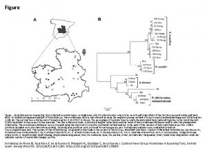 Figure Rickettsia species in questing ticks collected in