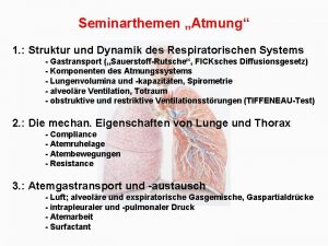 Seminarthemen Atmung 1 Struktur und Dynamik des Respiratorischen