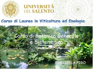 Corso di Botanica Generale e Sistematica GABRIELLA PIRO