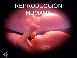 REPRODUCCIN HUMANA La reproduccin es un proceso biolgico