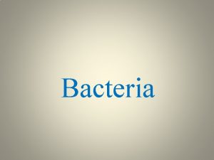 Bacteria Introduction to the Bacteria Bacteria are prokaryotic